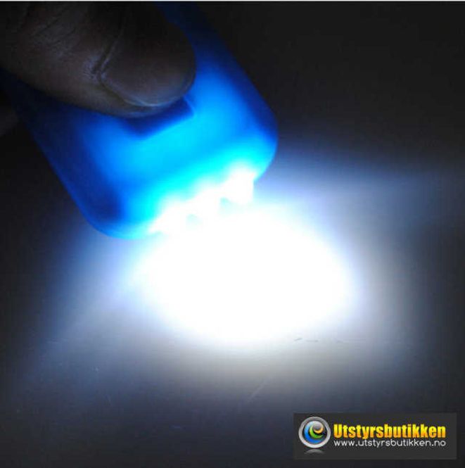 Hovedbilde Nøkkelring med Led solcellelykt